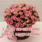 Відкритка з днем народження внученька